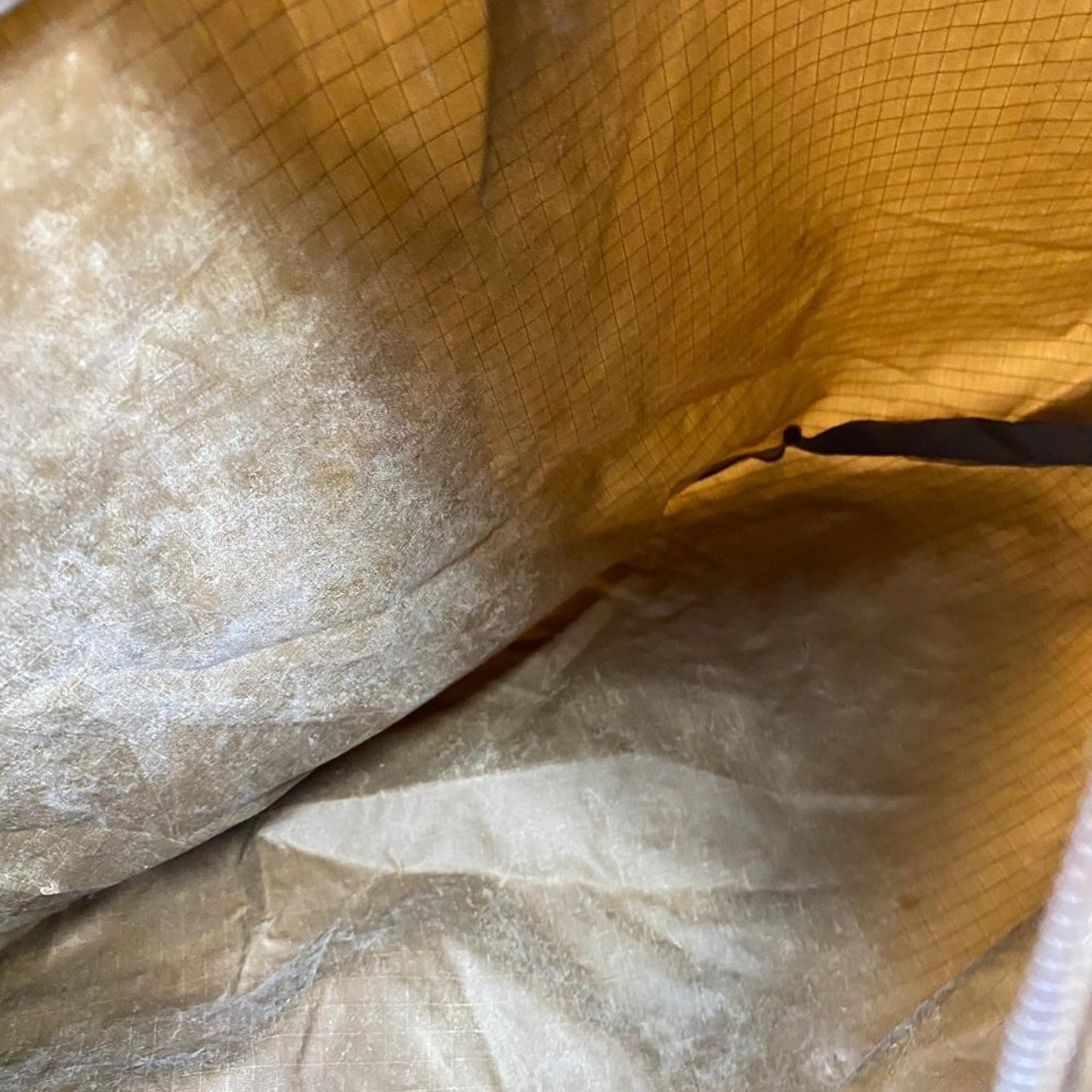LeSportsac Brown Nylon Shoulder Bag