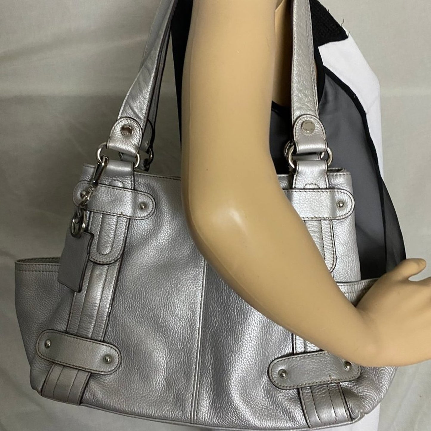 Tignanello Silver Leather Shoulder Bag