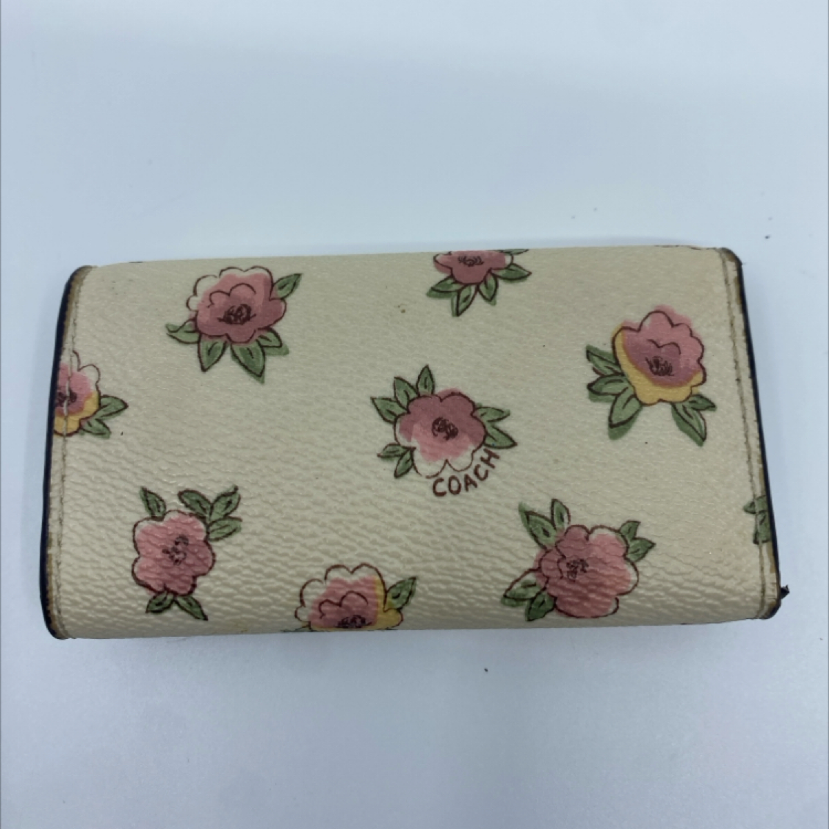 Coach Floral Print Coated Canvas Key Case Cream Multi