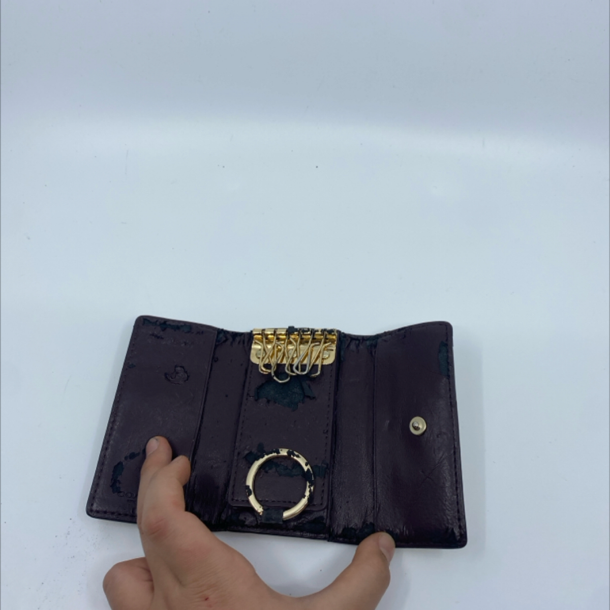 Coach Floral Print Coated Canvas Key Case Cream Multi