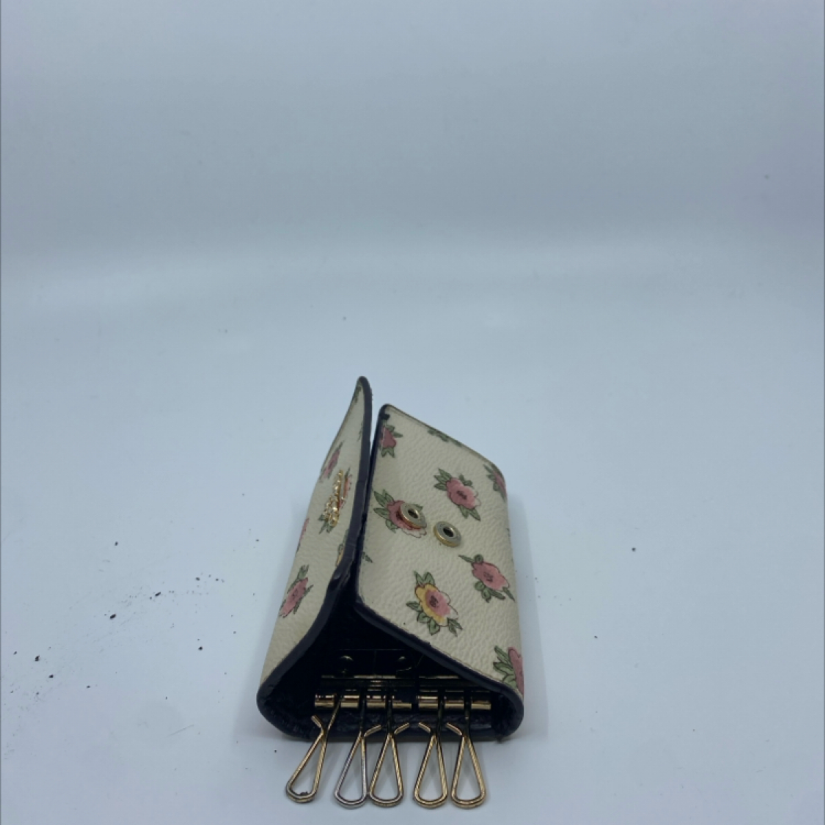 Coach Floral Print Coated Canvas Key Case Cream Multi