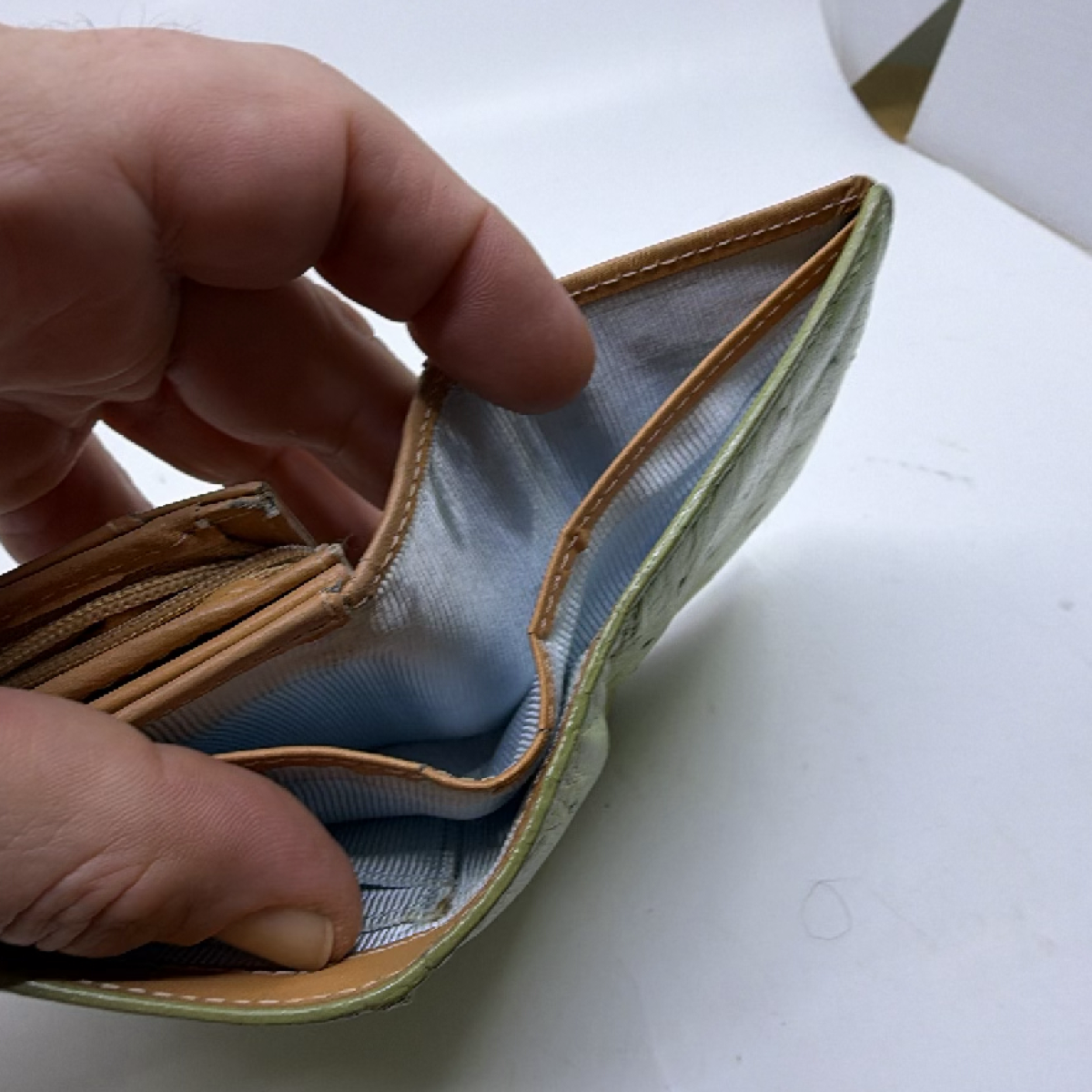 Pont Neuf Green Ostrich Leather Bifold Wallet