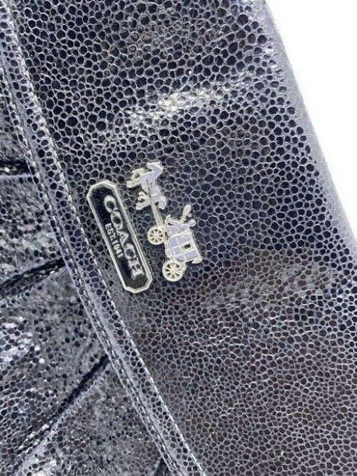 coach fancy wristlet