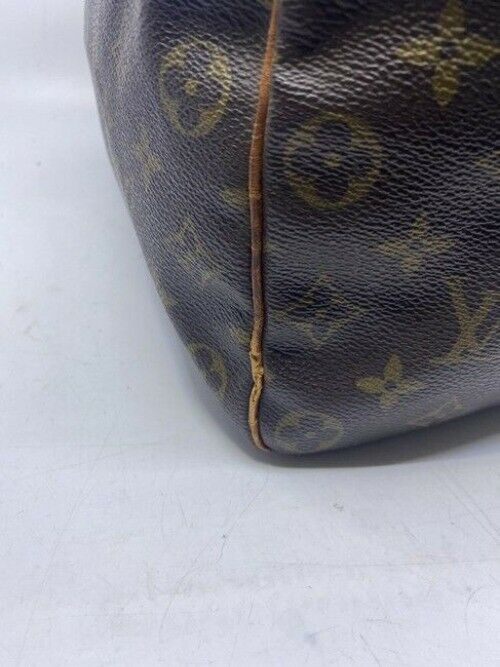 Louis Vuitton Speedy Brown Monogram Canvas Shoulder Bag