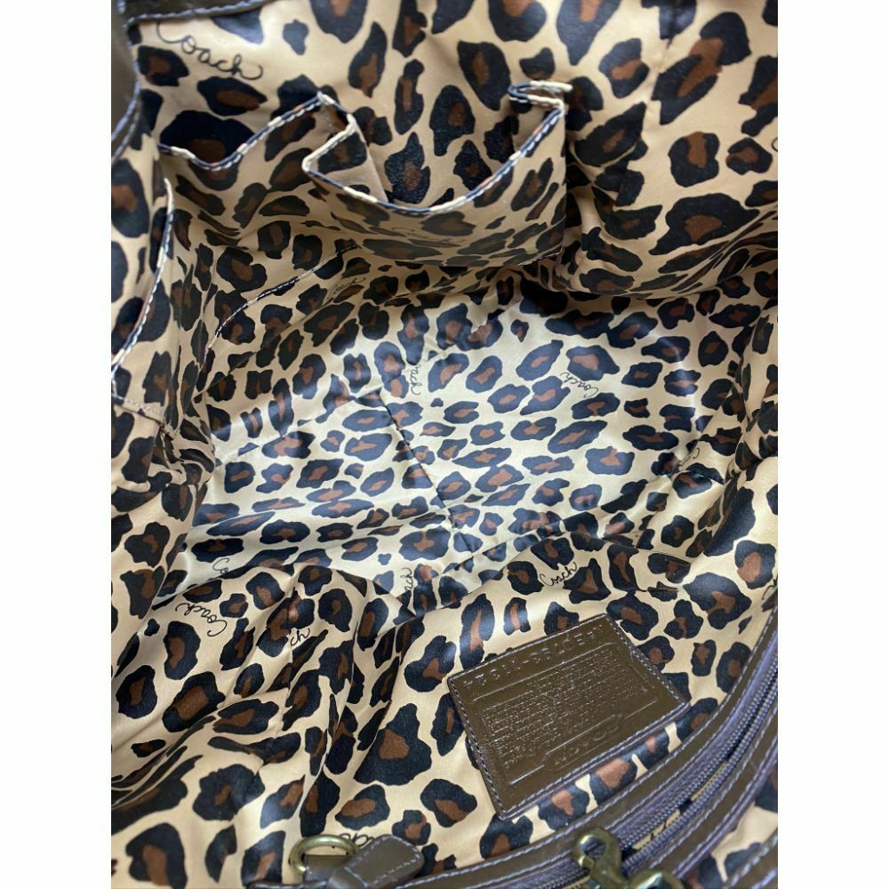 COACH XL Rare Python Print Leather Shoulder Bag