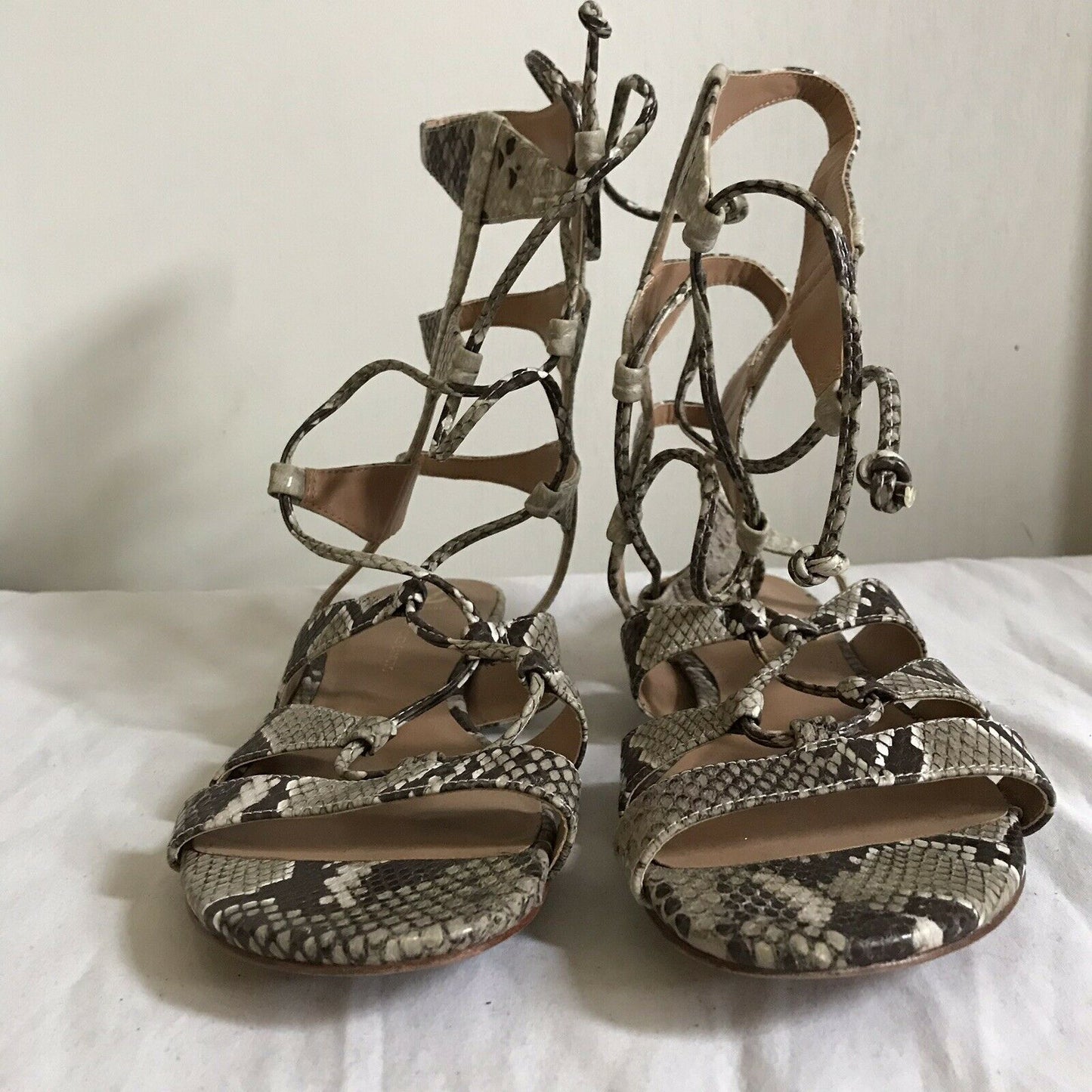 Vince Camuto Snake Print Leather Gladiator Sandals Sz 9